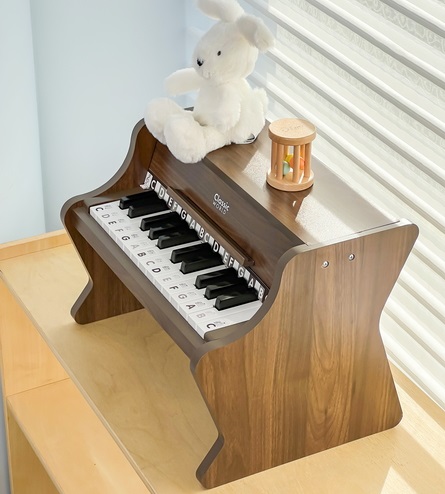 Classic Modern Natural Piano