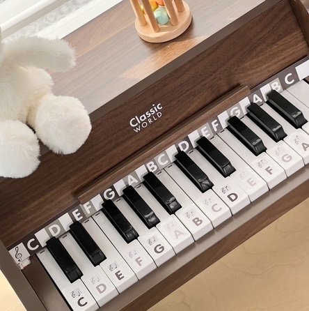 Classic Modern Natural Piano